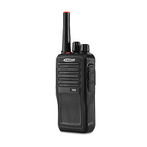 T65. Портативная POC 4G радиостанция